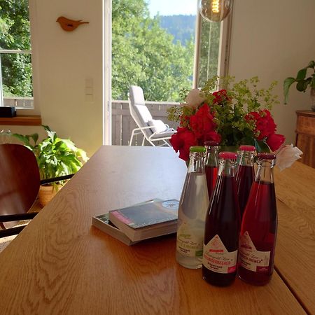 Waelder: Quartier Haus Im Glueck Villa St. Blasien Eksteriør billede