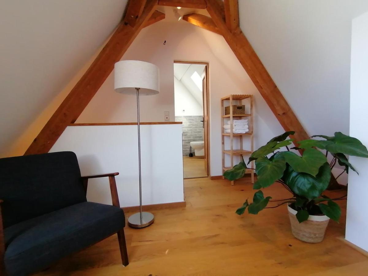 Waelder: Quartier Haus Im Glueck Villa St. Blasien Eksteriør billede
