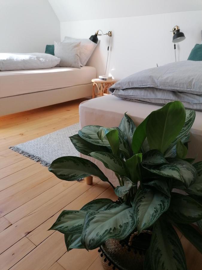 Waelder: Quartier Haus Im Glueck Villa St. Blasien Eksteriør billede